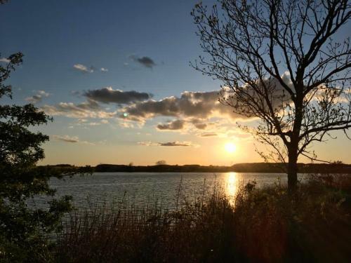 a sunset over a body of water with a tree at Hotel-Restaurant Nordlicht in Kappeln