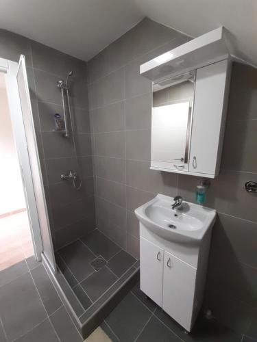 a bathroom with a shower and a sink and a mirror at Apartman Djokovic in Mokra Gora