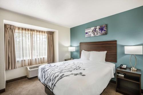 ein Hotelzimmer mit einem großen Bett und einem Fenster in der Unterkunft Sleep Inn & Suites Tallahassee-Capitol in Tallahassee