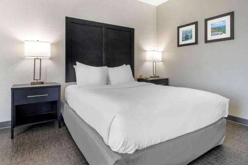 Una cama o camas en una habitación de Comfort Inn & Suites Greer - Greenville