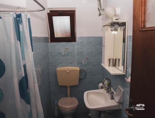 a small bathroom with a toilet and a sink at Eirini Kasimiotou Apartments in Agios Andreas