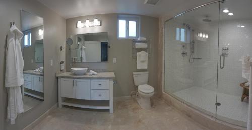 uma casa de banho com um chuveiro, um lavatório e um WC. em Sunset Reef St. Kitts em Ottleyʼs