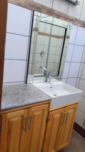 a bathroom with a sink and a mirror at Apex boutique apartments in Georgetown