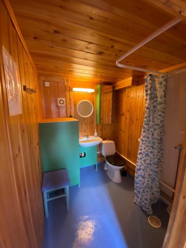 a bathroom with a sink and a toilet in a room at Kvila Hytteutleie in Garmo