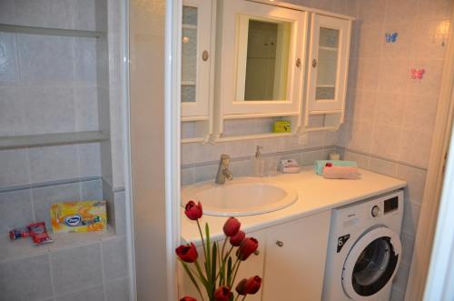 a bathroom with a sink and a washing machine at Vineyards Hill Villa in Megalokhori