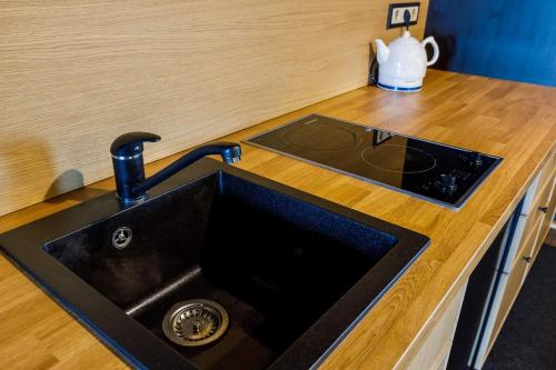 Η κουζίνα ή μικρή κουζίνα στο Apartments in Kaunas