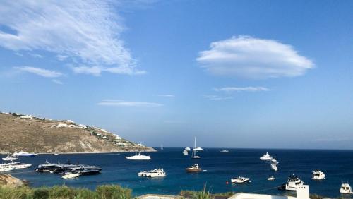 The Elaia House Mykonos