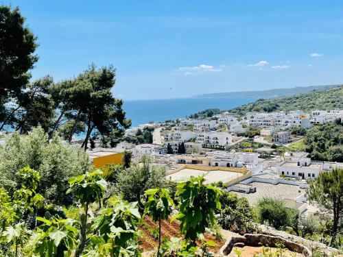 a view of a town with trees and buildings at La Marea in Castro di Lecce