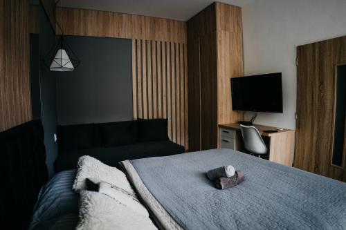Cette chambre comprend un lit et une télévision. dans l'établissement AH Skynight Puškinova, à Košice