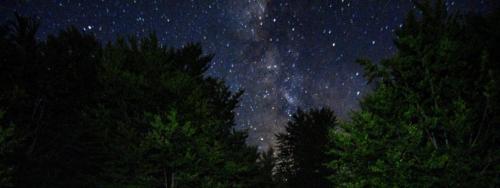 a starry night with trees and the milky way at JOEN Village in Librazhd