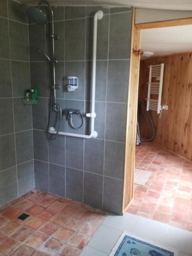 a shower in a bathroom with a tile floor at Gite la petite pataudiere in Le Guédéniau