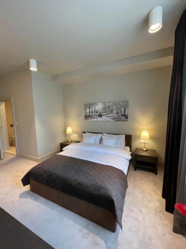 a bedroom with a large bed and two lamps at REZYDENCJA BOHEMA in Szczawno-Zdrój