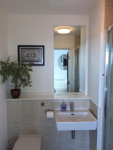 A bathroom at Sky View Apartment with Terrace