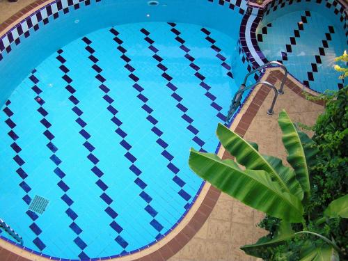 an overhead view of a large blue swimming pool at Villa Kallergi Nefeli 6 guests in Loutra
