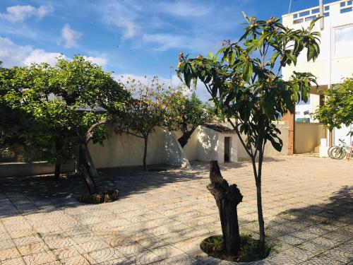 a group of trees sitting in a courtyard at Forever São Brás in São Brás de Alportel