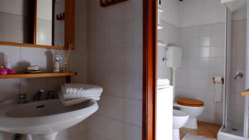 a bathroom with a sink and a toilet at Agriturismo il Roccolo in Pantasina