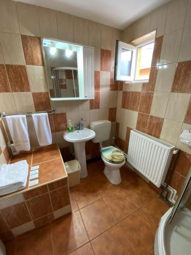 bagno con lavabo, servizi igienici e specchio di vila Monski ad Azuga