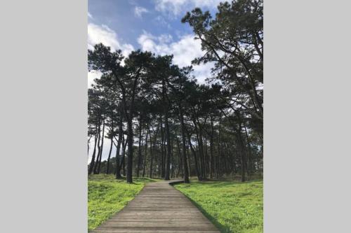 a wooden path in a field with trees in the background at Casa Casco Antiguo A Guarda in A Guarda