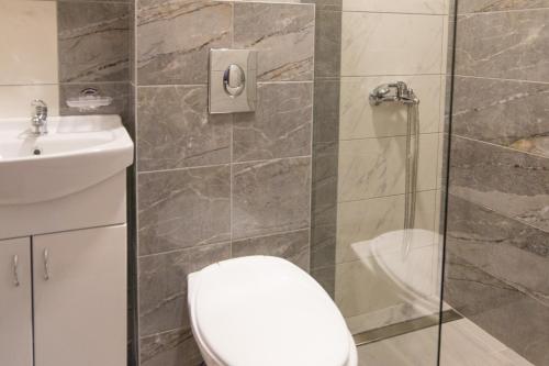 a bathroom with a shower and a toilet and a sink at Viktorijini konaci in Kremna