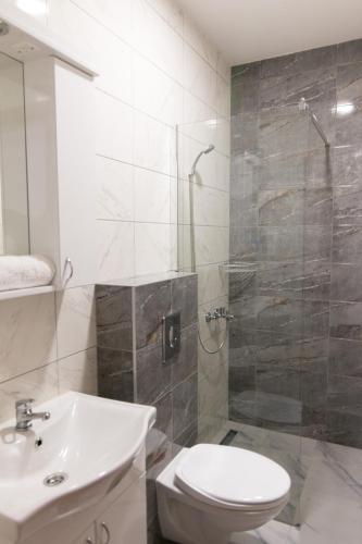 a bathroom with a shower and a toilet and a sink at Viktorijini konaci in Kremna