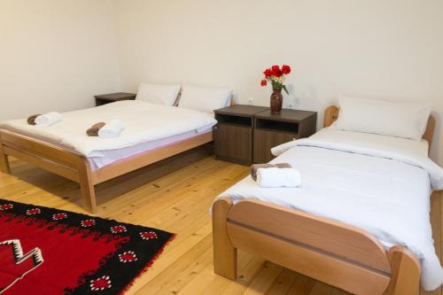 two twin beds in a room with a red rug at Viktorijini konaci in Kremna