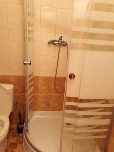 a bathroom with a shower and a toilet at Sadyba Margaryta in Truskavets