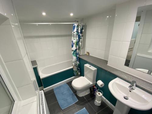 La petite salle de bains est pourvue de toilettes et d'un lavabo. dans l'établissement Poppy Cottage, à Matlock
