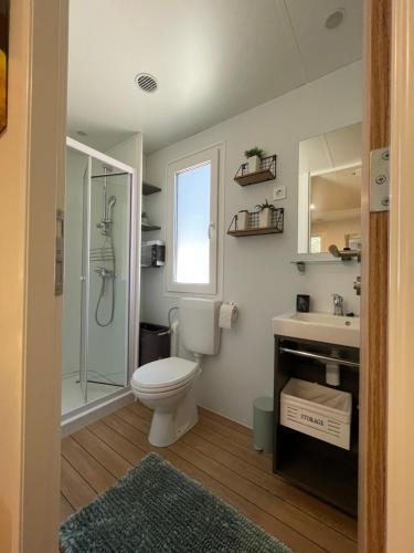 a bathroom with a toilet and a sink and a shower at ROVINIA mobile home in Rovinj