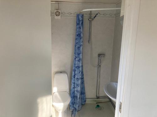 een badkamer met een douche, een toilet en een wastafel bij Sjövillan 2 in Stallarholmen