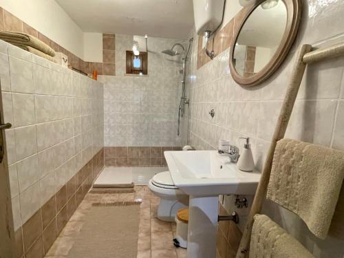Gallicano nel LazioにあるHome Sweet Homeのバスルーム(洗面台、トイレ、鏡付)
