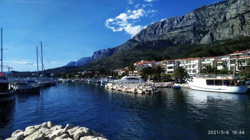 a group of boats docked in a harbor with a mountain at Villa Dalma in Tučepi