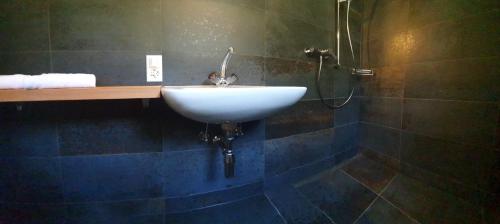 ein Badezimmer mit einem weißen Waschbecken und einer Dusche in der Unterkunft Cuore Alpino in Olivone