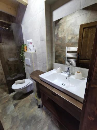 a bathroom with a sink and a toilet and a mirror at Sindy Wooden Apartments in Mavrovo