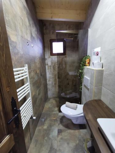 a bathroom with a toilet and a sink at Sindy Wooden Apartments in Mavrovo