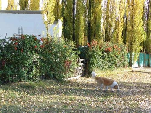 Los Abedules Bungalow – Photos 3