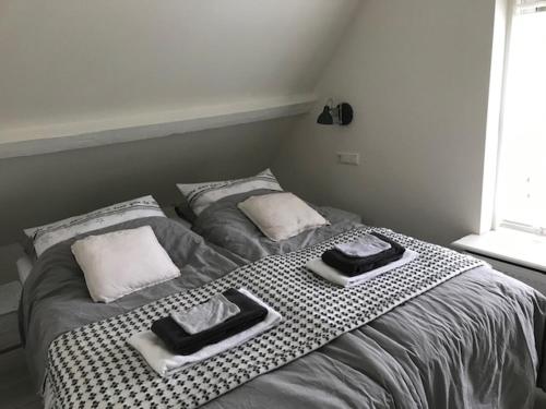een slaapkamer met 2 bedden en handdoeken bij Vlasoven loft in Noordwijkerhout
