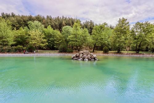 Naturlandschaft in der Nähe der Ferienwohnung