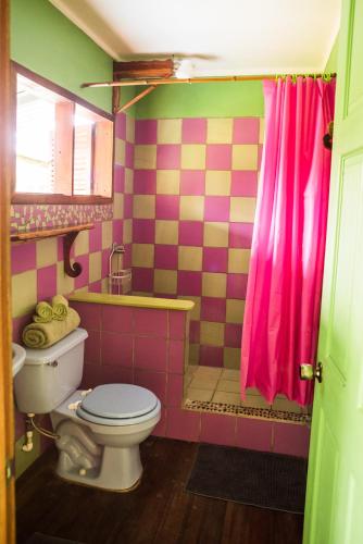 a pink bathroom with a toilet and a shower at Cafe de la Suerte in Pavones