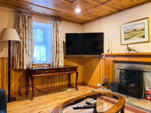 TV a/nebo společenská místnost v ubytování Barnesmore Cottage