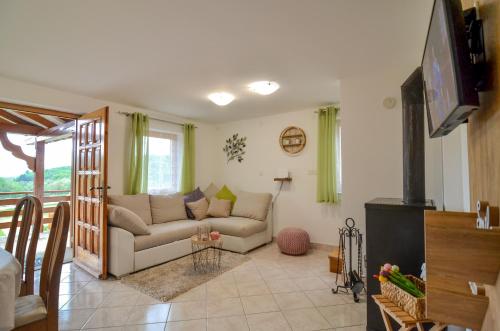 a living room with a couch and a tv at Flower house Podčetrtek in Podčetrtek