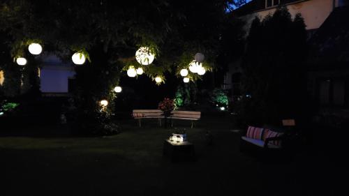 Κήπος έξω από το Sophia Studio