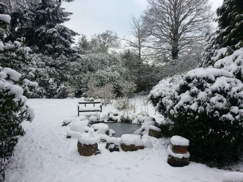 a garden covered in snow with a pond at Rosemead Guest House in Claygate