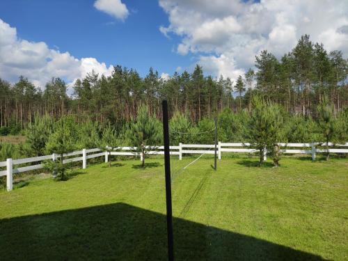 a white fence in a field next to a field with trees at Bajkowy domek Villa Rosa na Kaszubach in Grzybowo