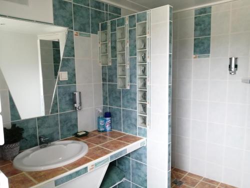 a bathroom with a sink and a shower at Le clos des augers. Chambre Descartes in Azay-sur-Cher