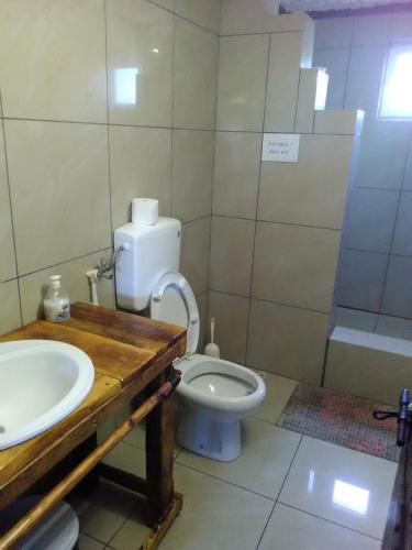 a bathroom with a white toilet and a sink at Apartmani Pinkum in Veliko Gradište