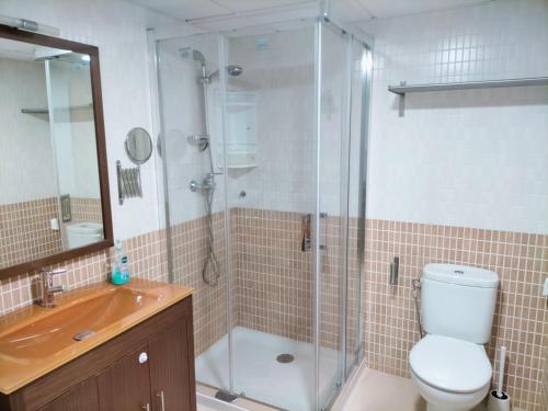 a bathroom with a shower and a toilet and a sink at Apartamento Torremolinos Centro in Torremolinos