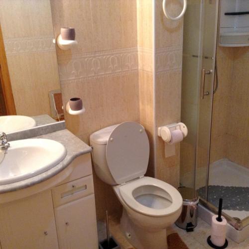 a bathroom with a toilet and a sink and a shower at CASA BEDAMA in Orihuela Costa