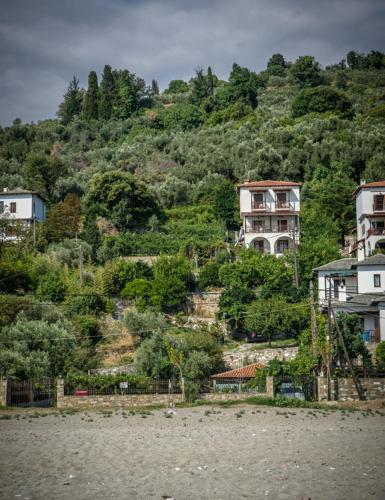 Φυσικό τοπίο κοντά σε αυτό το διαμέρισμα