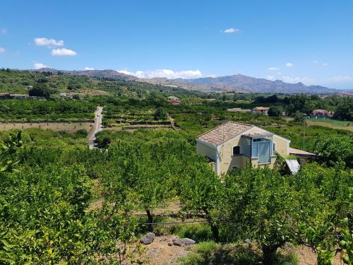 a house in the middle of a field with trees at Agriturismo Le Case Di Civi in Mascali