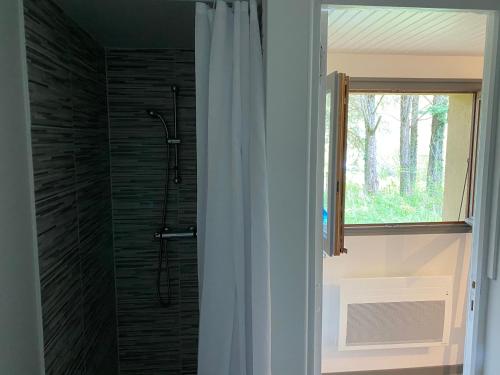 ein Bad mit einer Dusche und einer Glastür in der Unterkunft Appartement dans Le Chalet in La Chapelle-en-Vercors